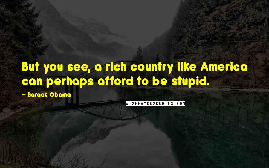 Barack Obama Quotes: But you see, a rich country like America can perhaps afford to be stupid.