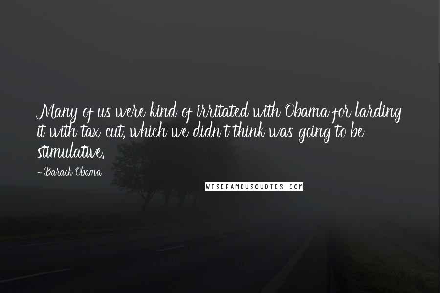 Barack Obama Quotes: Many of us were kind of irritated with Obama for larding it with tax cut, which we didn't think was going to be stimulative.