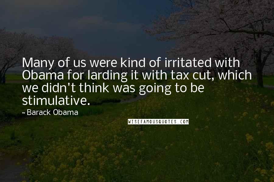 Barack Obama Quotes: Many of us were kind of irritated with Obama for larding it with tax cut, which we didn't think was going to be stimulative.