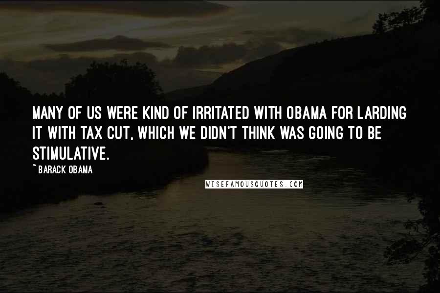 Barack Obama Quotes: Many of us were kind of irritated with Obama for larding it with tax cut, which we didn't think was going to be stimulative.