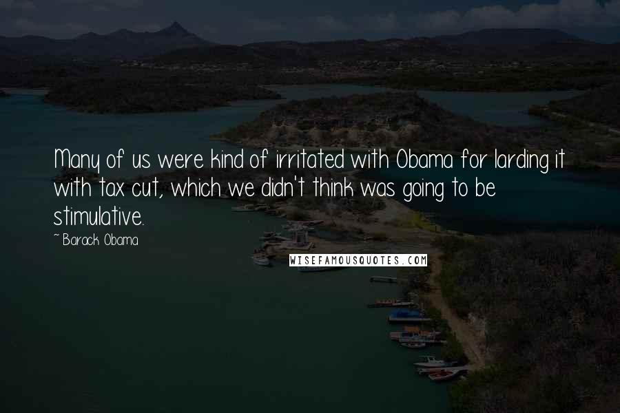 Barack Obama Quotes: Many of us were kind of irritated with Obama for larding it with tax cut, which we didn't think was going to be stimulative.