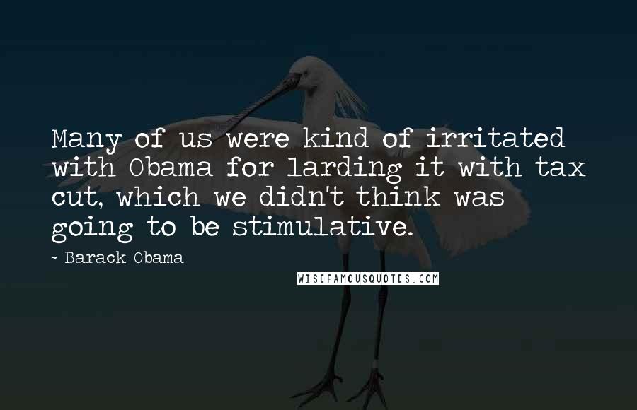 Barack Obama Quotes: Many of us were kind of irritated with Obama for larding it with tax cut, which we didn't think was going to be stimulative.