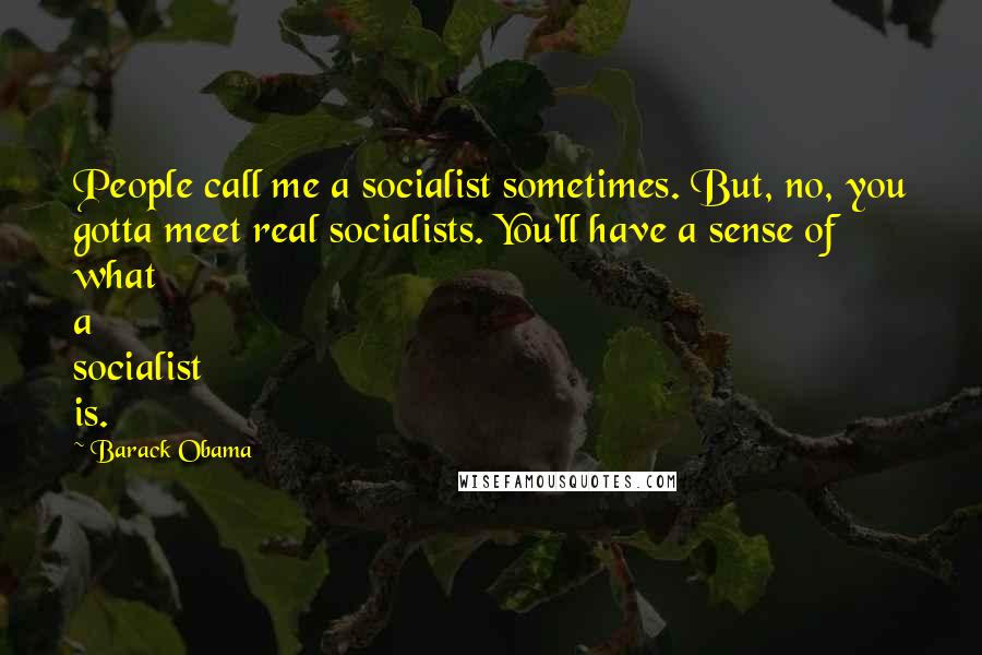 Barack Obama Quotes: People call me a socialist sometimes. But, no, you gotta meet real socialists. You'll have a sense of what a socialist is.