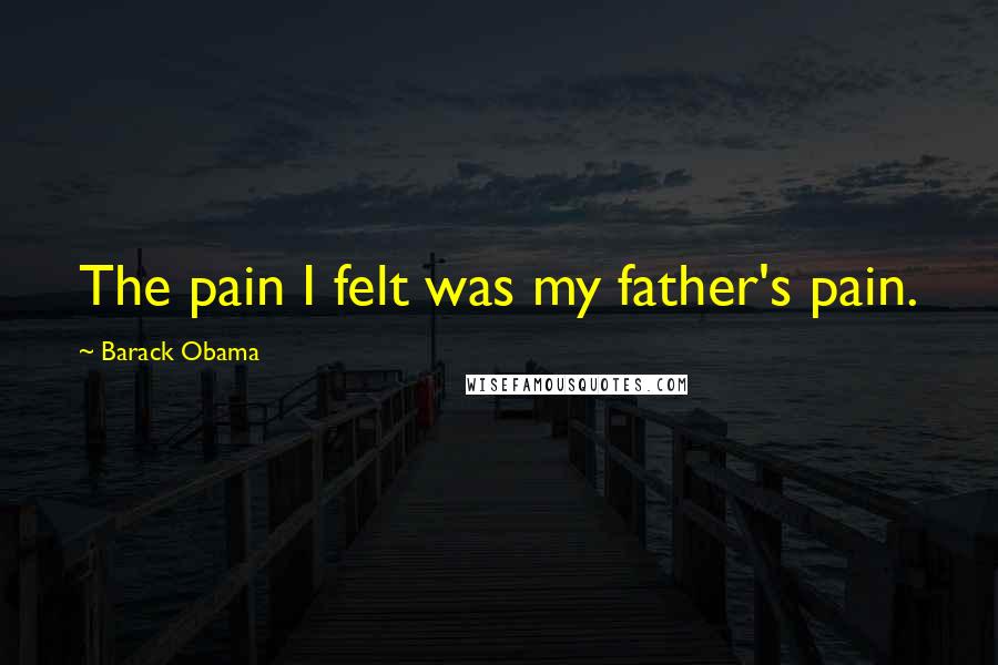 Barack Obama Quotes: The pain I felt was my father's pain.