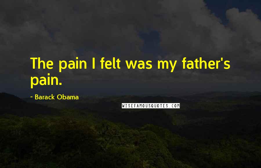 Barack Obama Quotes: The pain I felt was my father's pain.