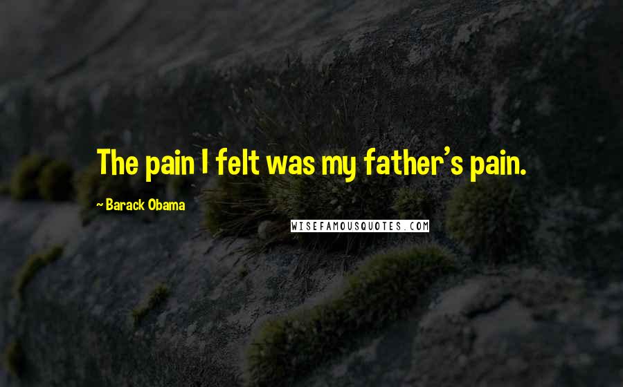 Barack Obama Quotes: The pain I felt was my father's pain.