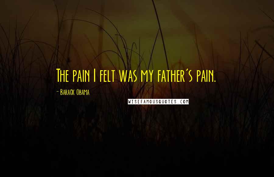 Barack Obama Quotes: The pain I felt was my father's pain.