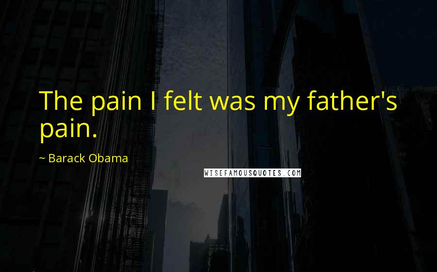 Barack Obama Quotes: The pain I felt was my father's pain.