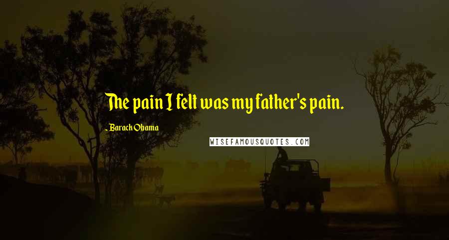 Barack Obama Quotes: The pain I felt was my father's pain.