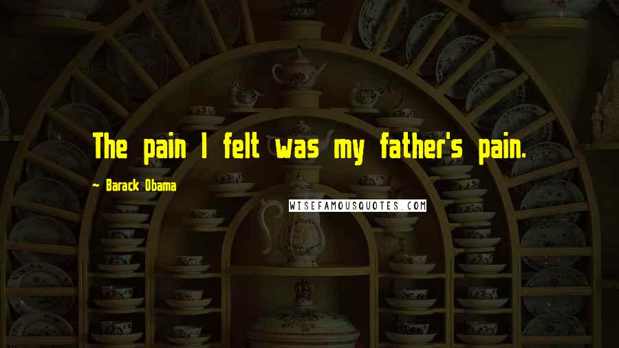 Barack Obama Quotes: The pain I felt was my father's pain.