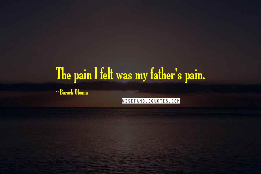 Barack Obama Quotes: The pain I felt was my father's pain.