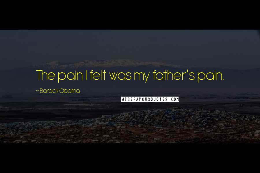 Barack Obama Quotes: The pain I felt was my father's pain.