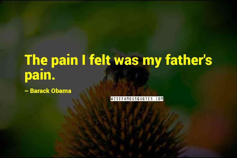 Barack Obama Quotes: The pain I felt was my father's pain.