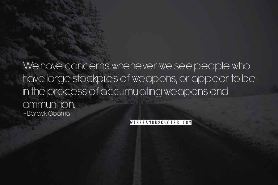 Barack Obama Quotes: We have concerns whenever we see people who have large stockpiles of weapons, or appear to be in the process of accumulating weapons and ammunition.