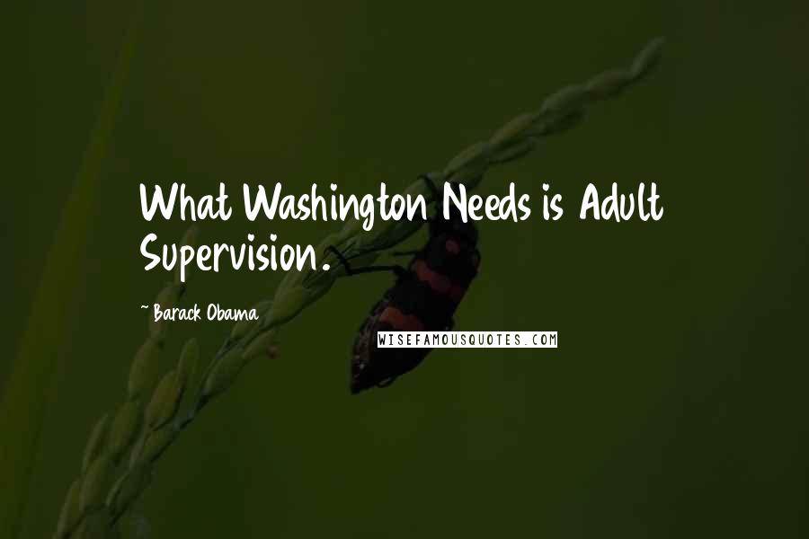 Barack Obama Quotes: What Washington Needs is Adult Supervision.