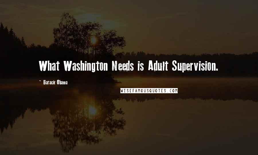 Barack Obama Quotes: What Washington Needs is Adult Supervision.