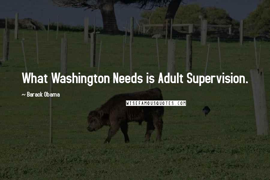 Barack Obama Quotes: What Washington Needs is Adult Supervision.