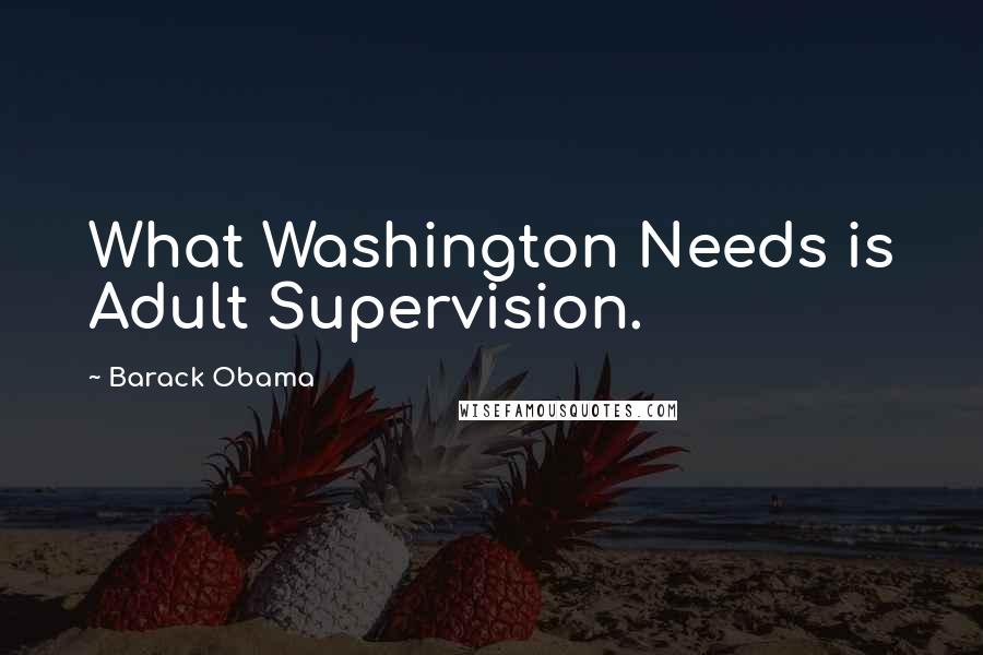 Barack Obama Quotes: What Washington Needs is Adult Supervision.