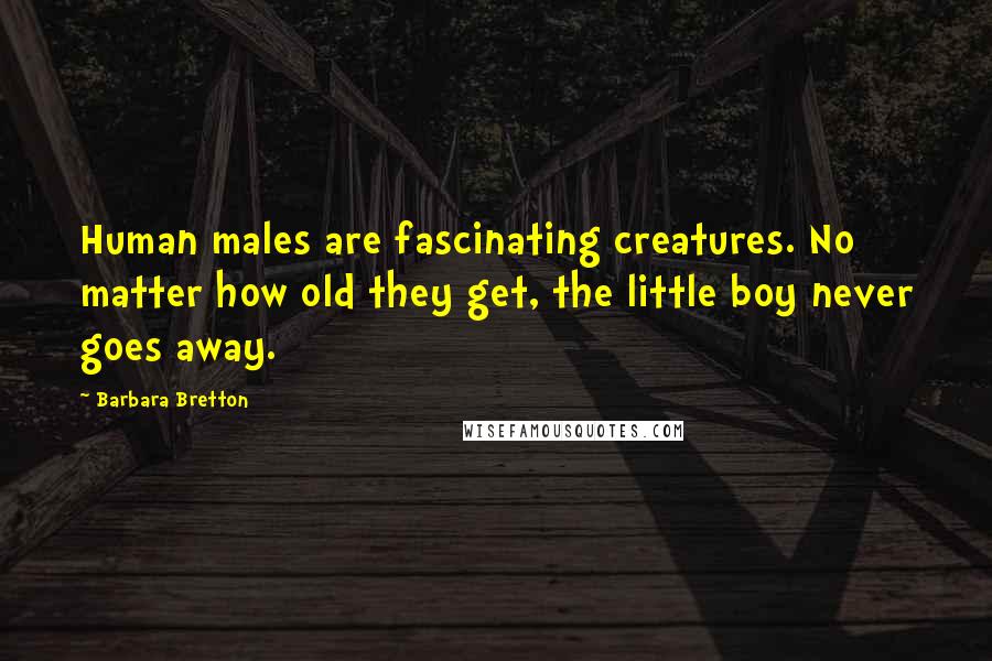 Barbara Bretton Quotes: Human males are fascinating creatures. No matter how old they get, the little boy never goes away.