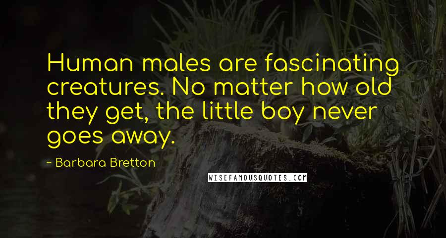 Barbara Bretton Quotes: Human males are fascinating creatures. No matter how old they get, the little boy never goes away.