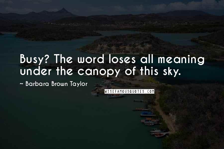 Barbara Brown Taylor Quotes: Busy? The word loses all meaning under the canopy of this sky.