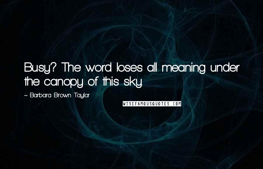 Barbara Brown Taylor Quotes: Busy? The word loses all meaning under the canopy of this sky.