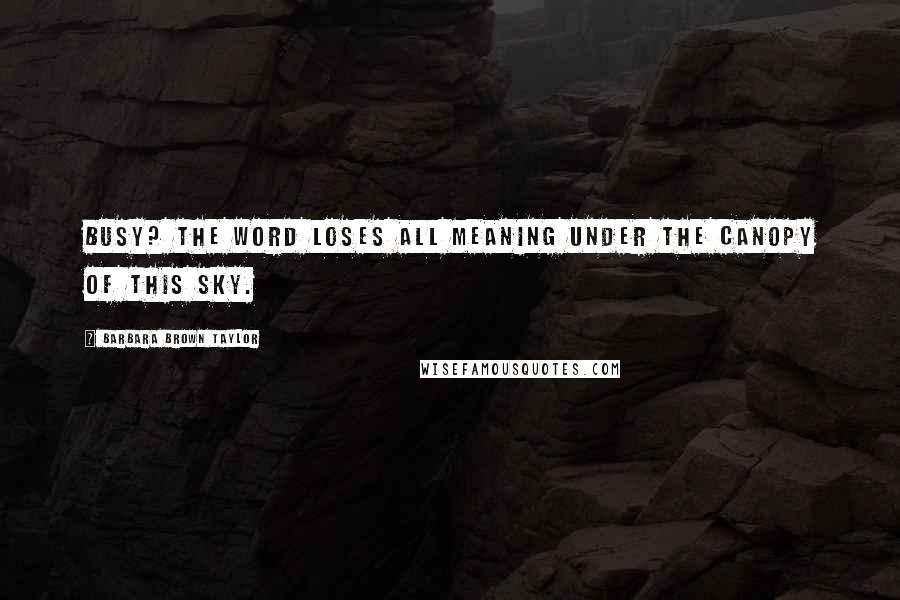 Barbara Brown Taylor Quotes: Busy? The word loses all meaning under the canopy of this sky.