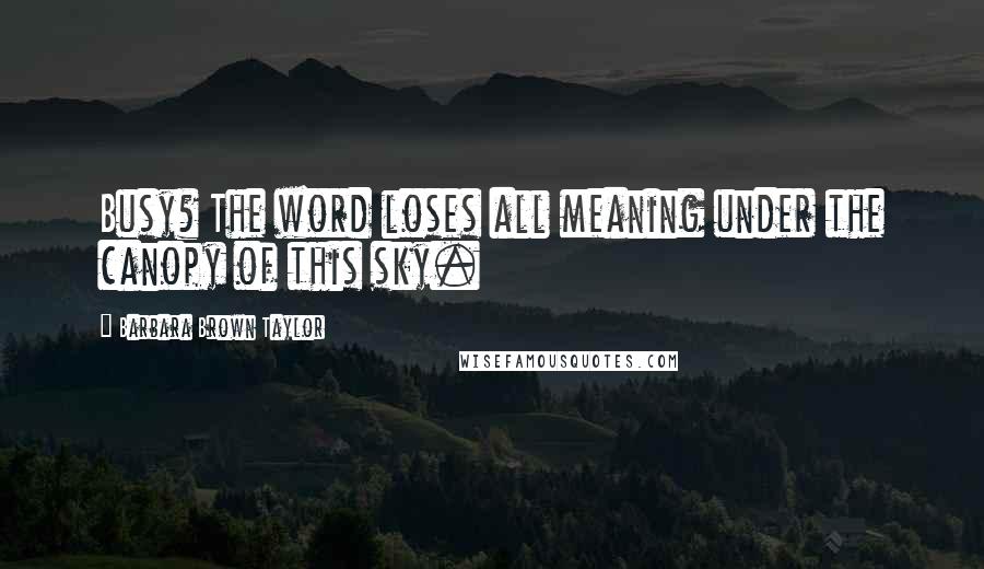 Barbara Brown Taylor Quotes: Busy? The word loses all meaning under the canopy of this sky.