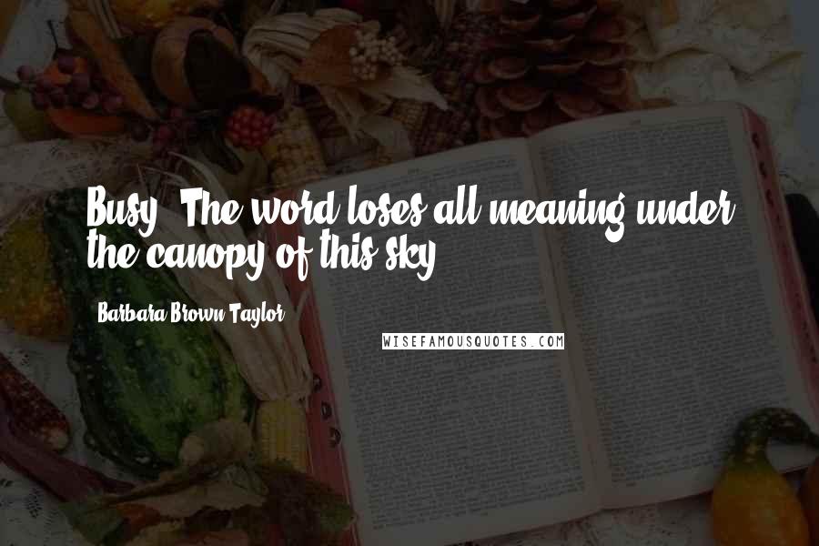 Barbara Brown Taylor Quotes: Busy? The word loses all meaning under the canopy of this sky.