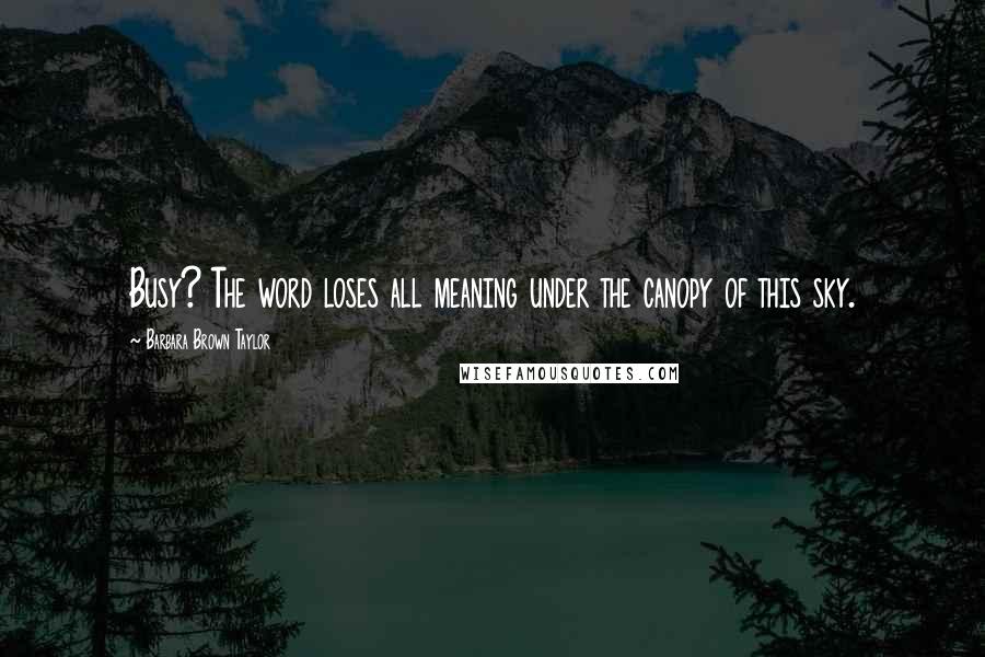 Barbara Brown Taylor Quotes: Busy? The word loses all meaning under the canopy of this sky.