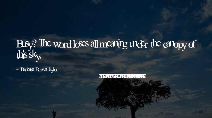 Barbara Brown Taylor Quotes: Busy? The word loses all meaning under the canopy of this sky.