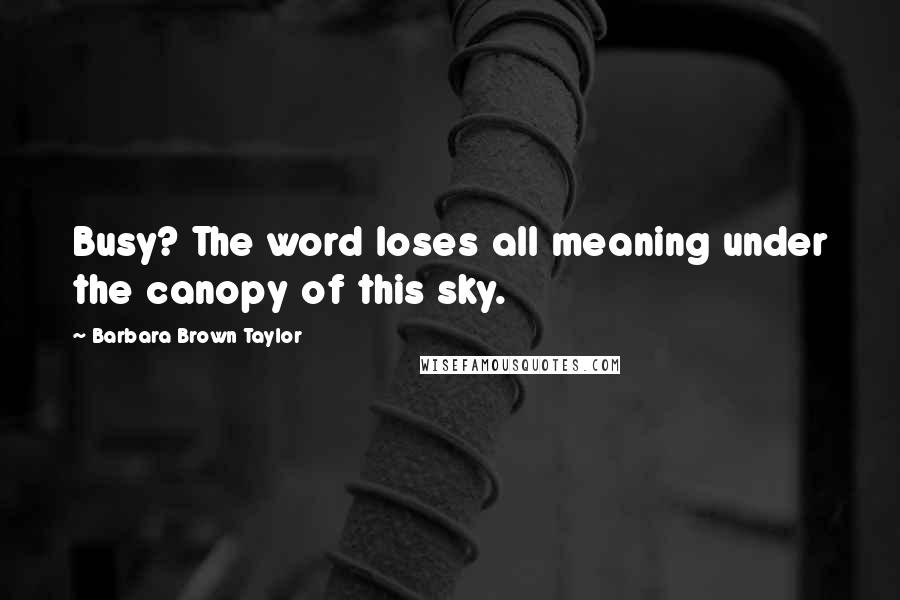 Barbara Brown Taylor Quotes: Busy? The word loses all meaning under the canopy of this sky.