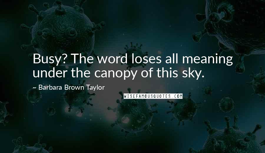 Barbara Brown Taylor Quotes: Busy? The word loses all meaning under the canopy of this sky.