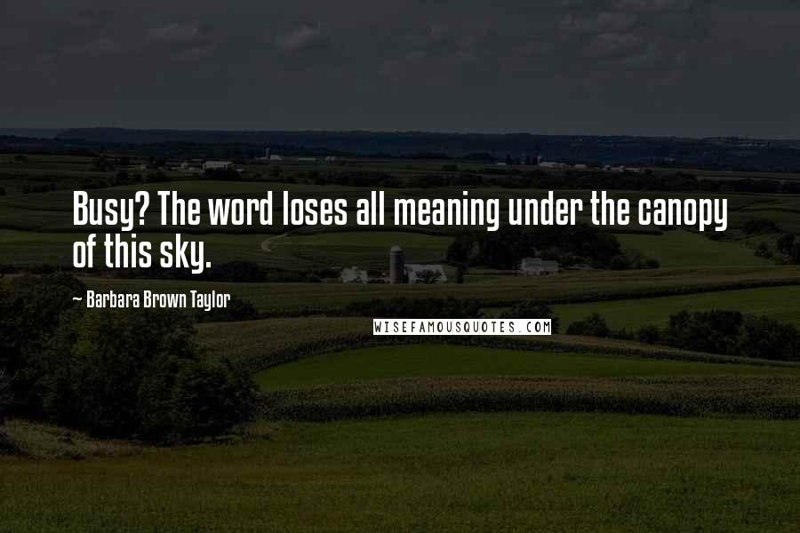 Barbara Brown Taylor Quotes: Busy? The word loses all meaning under the canopy of this sky.