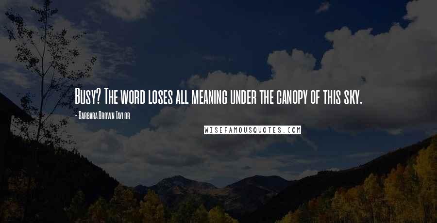 Barbara Brown Taylor Quotes: Busy? The word loses all meaning under the canopy of this sky.