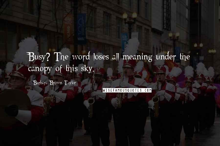 Barbara Brown Taylor Quotes: Busy? The word loses all meaning under the canopy of this sky.