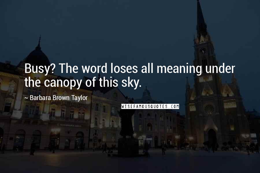 Barbara Brown Taylor Quotes: Busy? The word loses all meaning under the canopy of this sky.