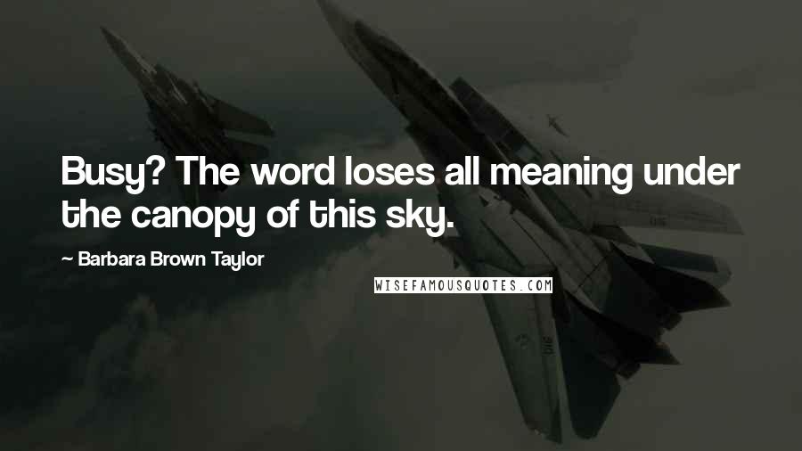 Barbara Brown Taylor Quotes: Busy? The word loses all meaning under the canopy of this sky.