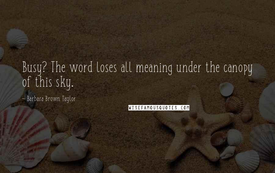 Barbara Brown Taylor Quotes: Busy? The word loses all meaning under the canopy of this sky.