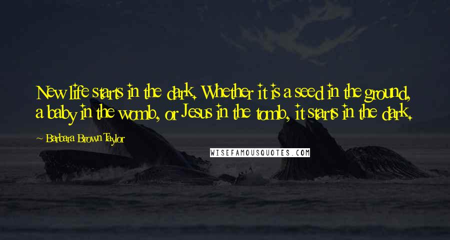 Barbara Brown Taylor Quotes: New life starts in the dark. Whether it is a seed in the ground, a baby in the womb, or Jesus in the tomb, it starts in the dark.