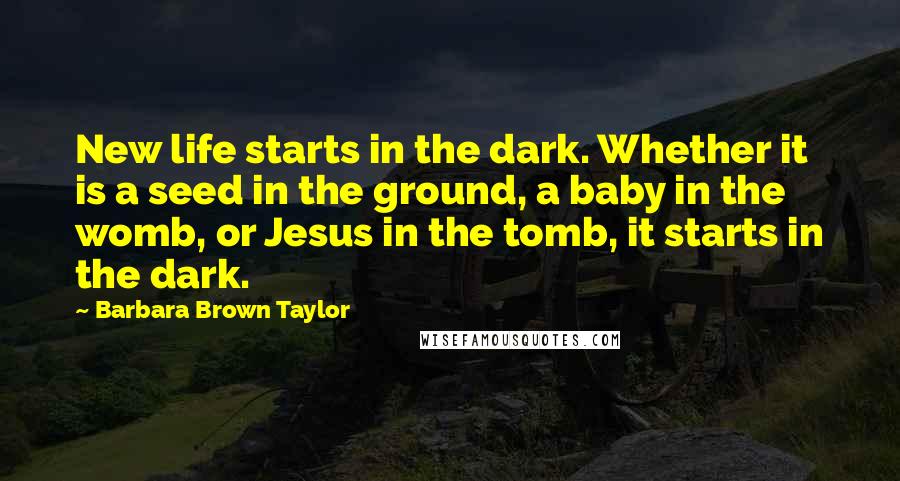 Barbara Brown Taylor Quotes: New life starts in the dark. Whether it is a seed in the ground, a baby in the womb, or Jesus in the tomb, it starts in the dark.