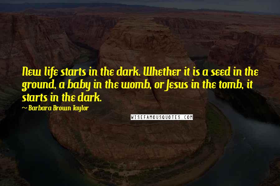 Barbara Brown Taylor Quotes: New life starts in the dark. Whether it is a seed in the ground, a baby in the womb, or Jesus in the tomb, it starts in the dark.