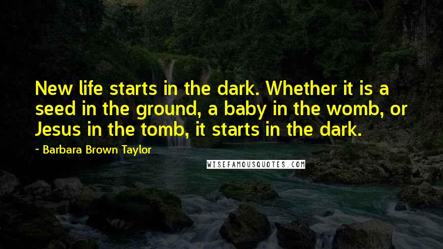 Barbara Brown Taylor Quotes: New life starts in the dark. Whether it is a seed in the ground, a baby in the womb, or Jesus in the tomb, it starts in the dark.