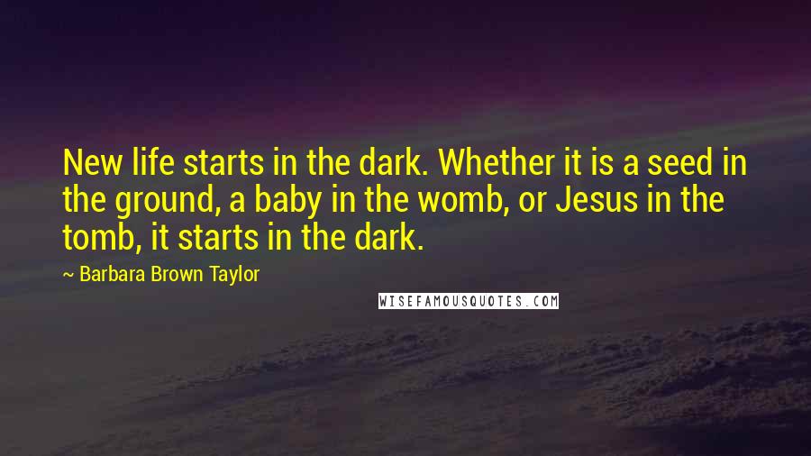 Barbara Brown Taylor Quotes: New life starts in the dark. Whether it is a seed in the ground, a baby in the womb, or Jesus in the tomb, it starts in the dark.