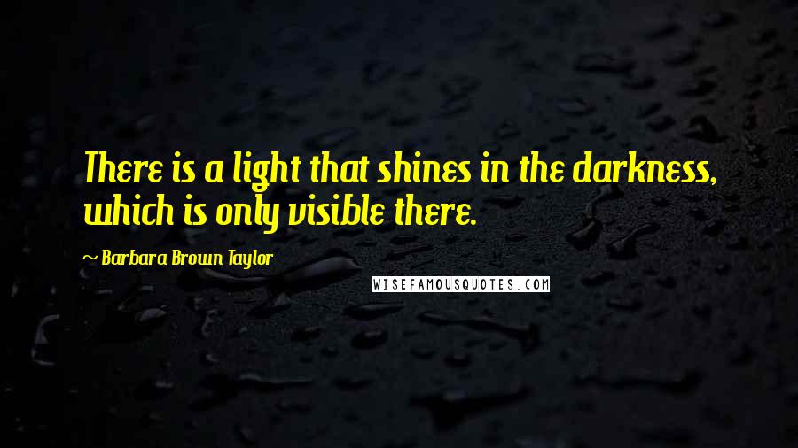 Barbara Brown Taylor Quotes: There is a light that shines in the darkness, which is only visible there.
