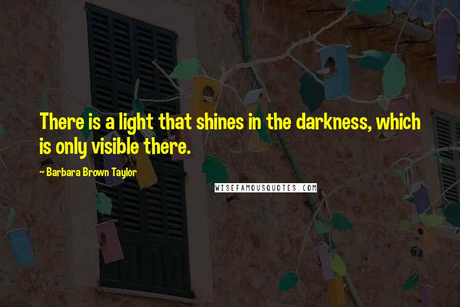 Barbara Brown Taylor Quotes: There is a light that shines in the darkness, which is only visible there.