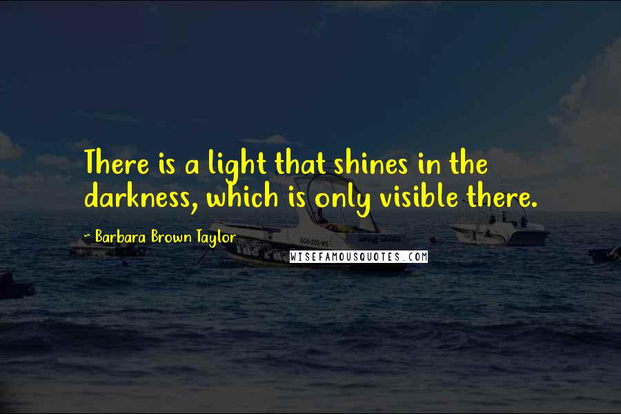 Barbara Brown Taylor Quotes: There is a light that shines in the darkness, which is only visible there.