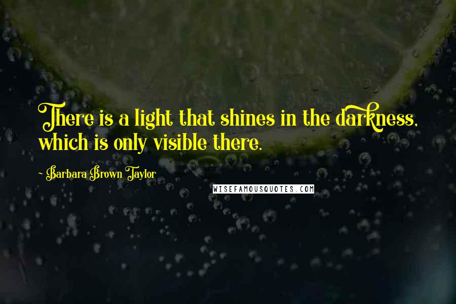 Barbara Brown Taylor Quotes: There is a light that shines in the darkness, which is only visible there.