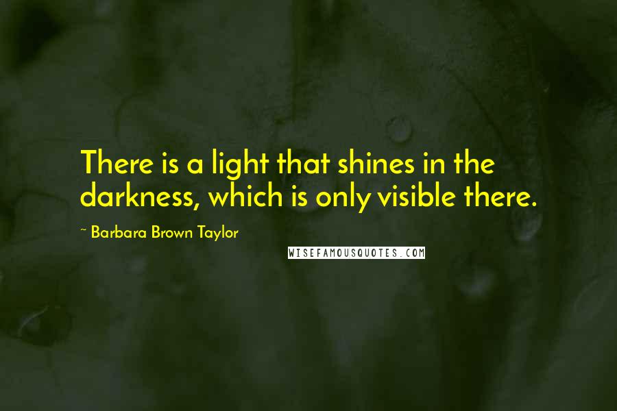 Barbara Brown Taylor Quotes: There is a light that shines in the darkness, which is only visible there.