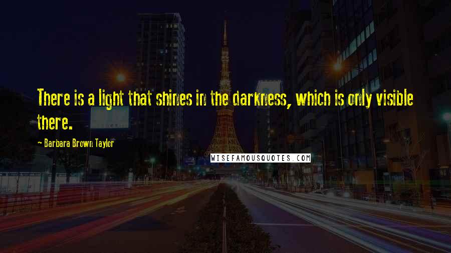 Barbara Brown Taylor Quotes: There is a light that shines in the darkness, which is only visible there.